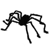 Halloween Riesiges Baby Olbrigm Spinne Anteprima dell’immagine prodotto 3