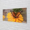 Glasbilder 120x60 Wandkunst Bunter Schmetterling Blume Produktbild-Vorschau 2