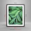 Gerahmtes Poster - Schwarzer Rahmen - Blätter Eukalyptus Produktbild-Vorschau 5
