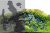 Colla per acquari e terrari Fotofix 50 ml Anteprima dell’immagine prodotto 3