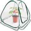 Mini Pop-Up Gewächshaus - 60 x 60 cm - Folien Treibhaus Produktbild-Vorschau 1