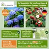 TTL GARDEN Strauchstützen 4er Set 60x30cm Pflanzenstütze Produktbild-Vorschau 8