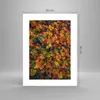 Poster - Poster ohne Rahmen - Herbst Perspektive Vogel - Produktbild-Vorschau 4