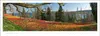 Immerwährender Panorama-Kalender Bodensee 110 x 39 cm Produktbild-Vorschau 10