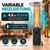 Heizpilz Gasheizer Gasheizstrahler Terrassenheizstrahler Produktbild-Vorschau 6