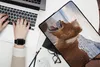 MuchoWow® Laptop Hülle 14 ZollPferd - Strand - Braun Produktbild-Vorschau 2
