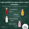BOXILAND® calendario avvento gin 2026, 24 tipi da 0,02 l, Anteprima dell’immagine prodotto 5