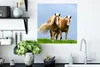 MuchoWow® Poster Pferde - Gras - Luft 50x50 cm - Produktbild-Vorschau 3