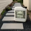 Roxlin Botanic Kiesbinder Kiesverfestiger Bindemittel für Produktbild-Vorschau 8