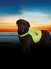 Gilet di sicurezza Trixie per cani - L Anteprima dell’immagine prodotto 5