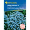 Kiepenkerl Profi-Line Vergissmeinnicht-Samen Heavenly Blue Produktbild-Vorschau 3