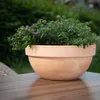 A terracotta planter with small pink flowers sits on a wooden table, with a blurred green background. Náhled obrázku produktu