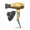 Sèche-cheveux AYLON GOLD LOTE 2 pz Voir les images du produit 2