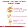 Royal Canin Maine Coon Kitten, Kocięta, Maine Coon, Drób, Podgląd zdjęcia produktu 2