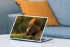 MuchoWow® Laptop Aufkleber Sticker Cover Sonnenaufgang - Produktbild-Vorschau 4