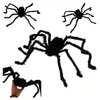 Halloween Riesiges Baby Olbrigm Spinne Anteprima dell’immagine prodotto 1