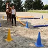 A woman is standing next to a horse in a sandy arena with training cones and poles set up. Náhľad obrázku produktu