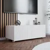 RAVIO TV Schrank Kolder 100 cm Kompakter RTV Schrank mit Produktbild-Vorschau 1