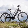 An e-bike is parked on a rocky, grassy terrain with a cloudy sky in the background. Produktbild-Vorschau