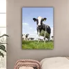 MuchoWow® - Leinwandbilder - Kühe - Gras - Tiere - Sonne - Produktbild-Vorschau 2