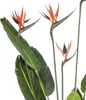 Emerald Künstliche Strelitzie mit 4 Blüten im Topf 150 cm Produktbild-Vorschau 3