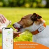 GPS lokátor pro psy, Weenect XS, lokalizace v reálném čase, Náhled obrázku produktu 5