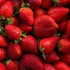 Herbata zielona Minutka z maliną i truskawką 20 torebek Podgląd zdjęcia produktu 7