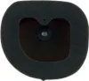 TWIN AIR Powerflow Luftfiltersatz 794557 - 152215FR 794557 Produktbild-Vorschau 2