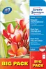 Avery Zweckform 2739 Papier photo jet d'encre premium, DIN Voir les images du produit 8