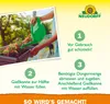 Neudorff  - Azet BlumenDünger 250ml für 50L Gießwasser 100% Produktbild-Vorschau 5