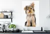 MuchoWow® Poster Porträt eines Yorkshire-Terriers 80x120 cm Produktbild-Vorschau 4