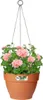 elho® Vibia campana Pflanzenampel Terracotta Ø 26 cm - Produktbild-Vorschau 4