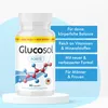 Glucosol Forte Kapseln | mit Pflanzenextrakten, Produktbild-Vorschau 2