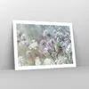 Poster - Poster ohne Rahmen - Wiese Knoblauch Blume - 70x50 Produktbild-Vorschau 7