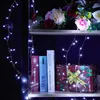 A shelf with books, a gift-wrapped box, and decorative flowers, illuminated by string lights. Produktbild-Vorschau