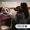 A woman is holding a dog next to a dog carrier by a lake at sunset. Anteprima dell’immagine prodotto