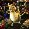 Folkmanis Handpuppe Packratte 30 cm Produktbild-Vorschau 5