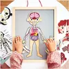 Magnetyczne puzzle - Nauka anatomii - Ciało człowieka Podgląd zdjęcia produktu 2