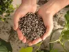 LECHUZA-Substrat pour plantes LECHUZA-PON 12 litres | Voir les images du produit 21