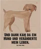 Mr. & Mrs. Panda Babydecke Hund Dogge - Hundeglück - Produktbild-Vorschau 1