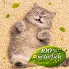 6 x12 l GreenCat Naturklumpstreu auf Maisbasis Produktbild-Vorschau 2