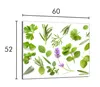 A collection of fresh herbs and lavender on a white background, with dimensions indicated. Náhľad obrázku produktu