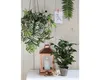 Umělá rostlina březový fíkus Ficus natasja Ø 30 H 40 cm Náhled obrázku produktu 3