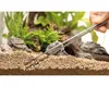 Dennerle Plants Power Caps 25 Stück Produktbild-Vorschau 6
