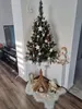 A decorated Christmas tree in a room, with a TV and other decorations. Podgląd zdjęcia produktu