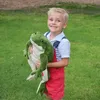 Frosch Plüschtier Kuscheltier 28 cm Riesig Weiches Produktbild-Vorschau 6