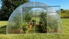 Serre "Sigma" 4x4m en polycarbonate de 6mm. Portes doubles Voir les images du produit 7