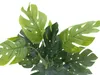 EUROPALMS Filodendron rozdělený, umělá rostlina, 38cm Náhled obrázku produktu 2