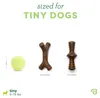 Benebone Winziger 2er-Pack unzerstörbarer Ahornstick für Produktbild-Vorschau 8