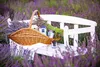 Hills Of Provence Vellutier 515 G Podgląd zdjęcia produktu 6